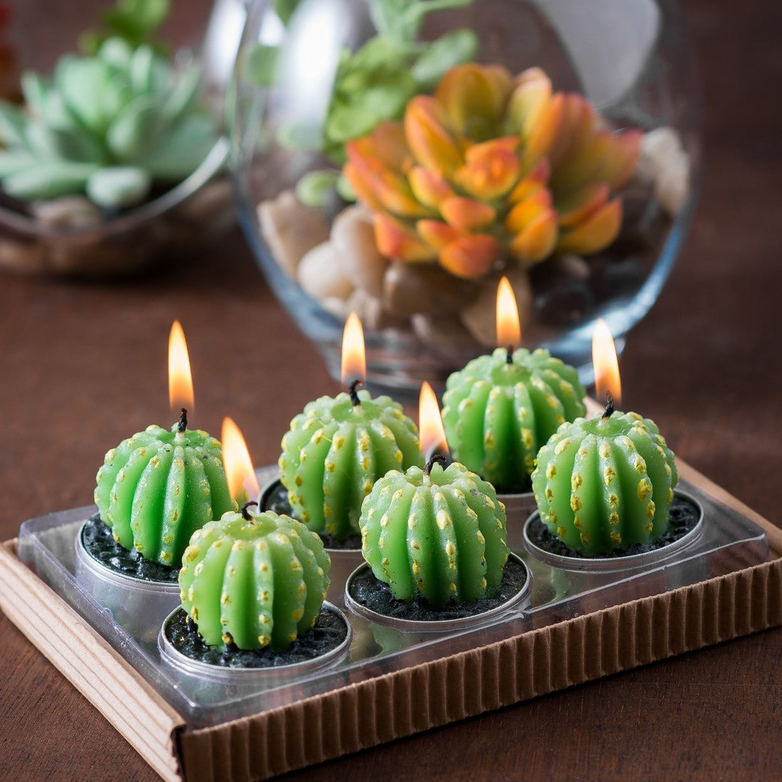 Tealights cactus