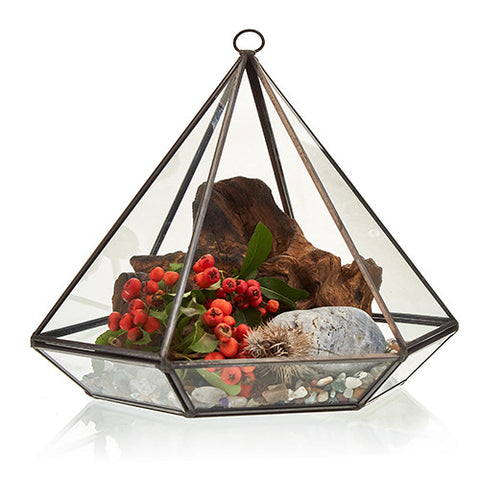 Terrrarium